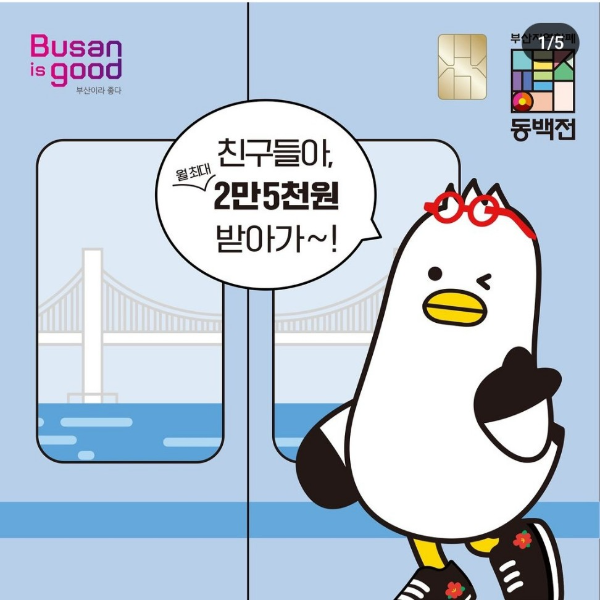 청소년 동백패스 신청 발급방법 이용방법