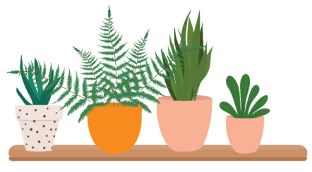 감사는 나를 단단하게 만드는 힘