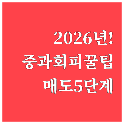 2026년 다주택자 양도세 중과 회피..