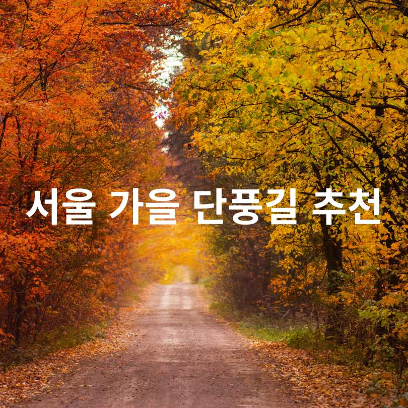 산책하기 좋은 서울 단풍 명소 110선