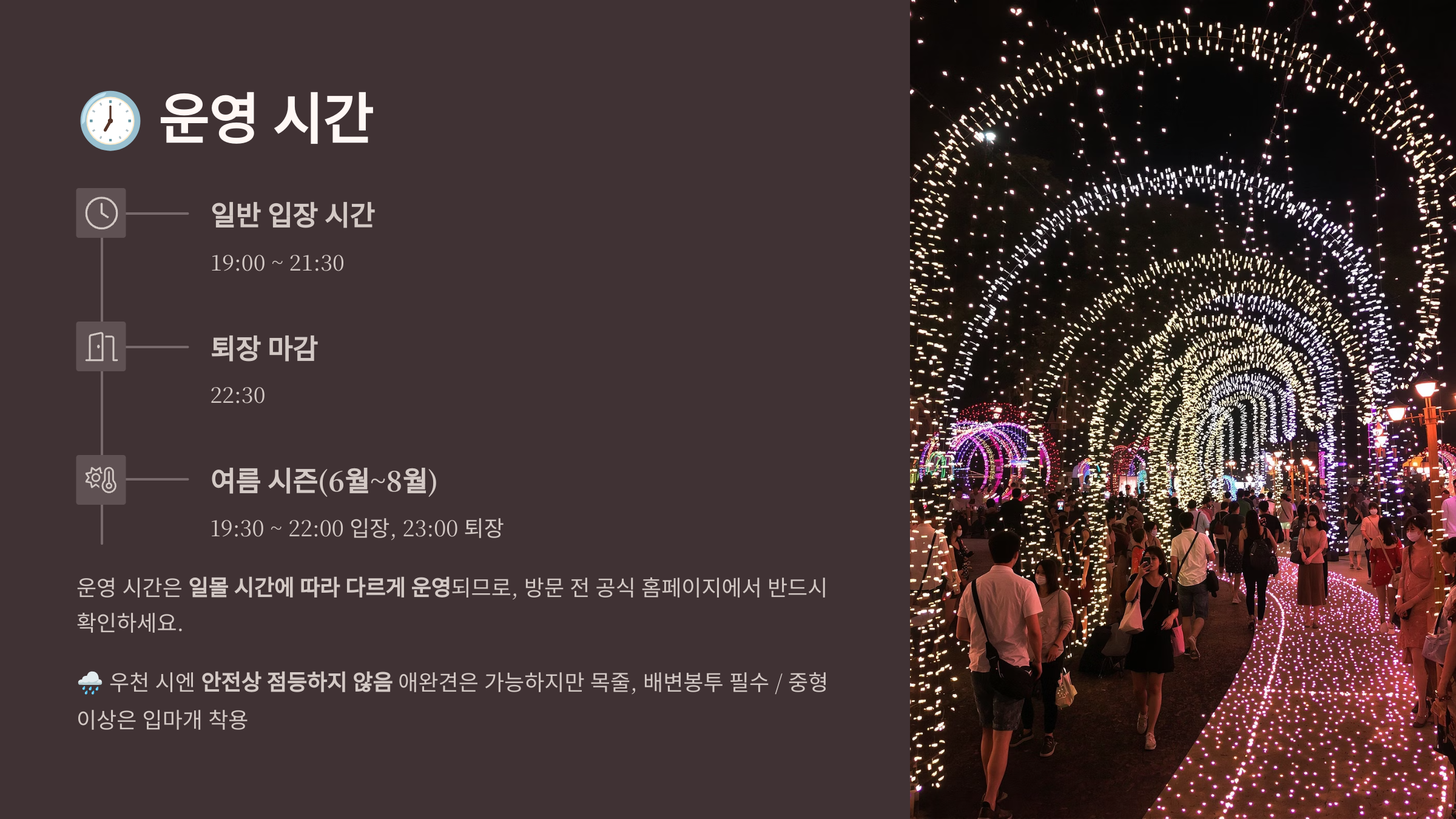 태안 빛축제 총정리