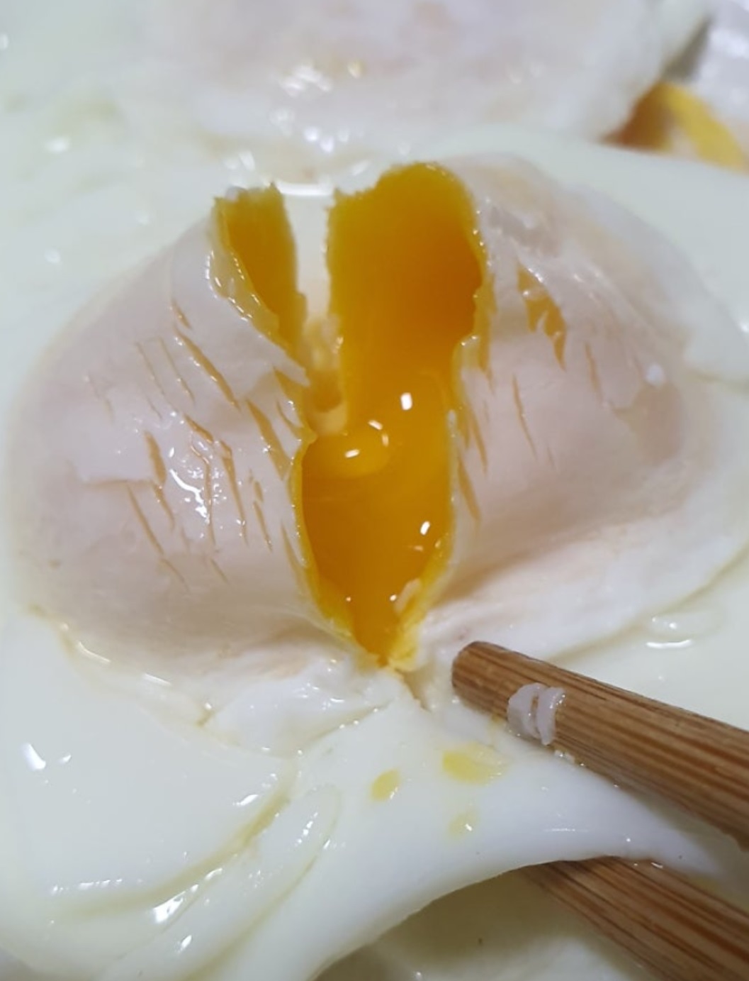 한국기행-진안-마령생명농장-유정란
