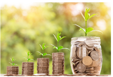 돈은 분재로 키운다 대단한 발상입니다