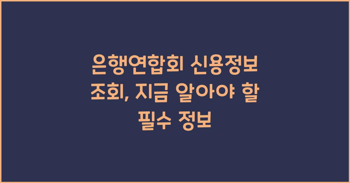 은행연합회 신용정보 조회