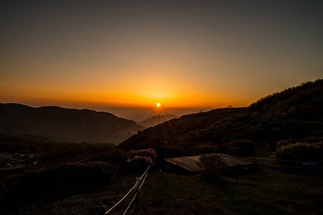 전문 여행 플래너의 성장 이야기: 평범한 여행을 예술로 바꾸다