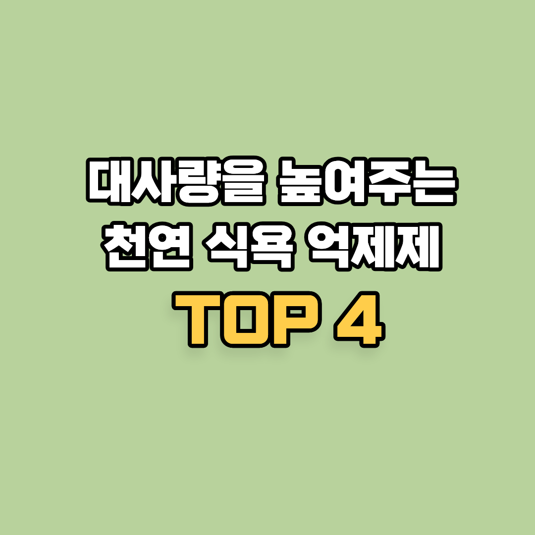 대사량을 높여주는 천연 식욕 억제제 TOP 4