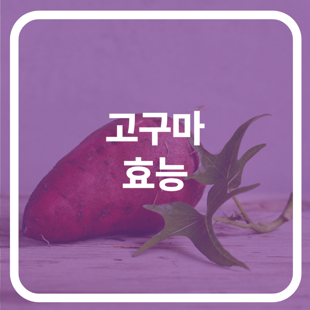 고구마 효능