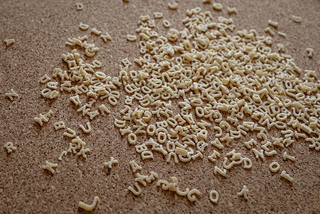 곤충 모티프의 촉각 폰트 설계 — 저시력 사용자용 정보디자인 접근법