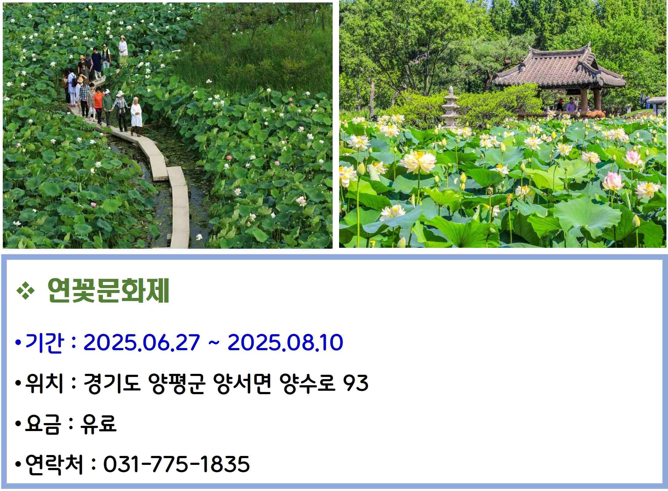 연꽃문화제