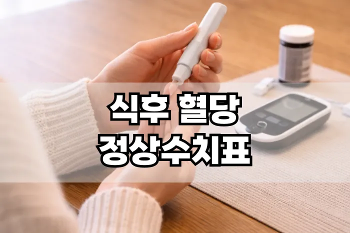 식후 혈당 정상수치표