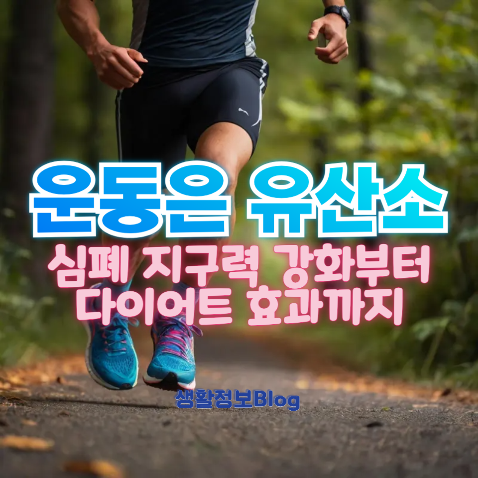 운동은 유산소