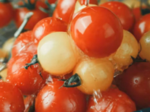 방울토마토 효능 영양성분 칼로리
