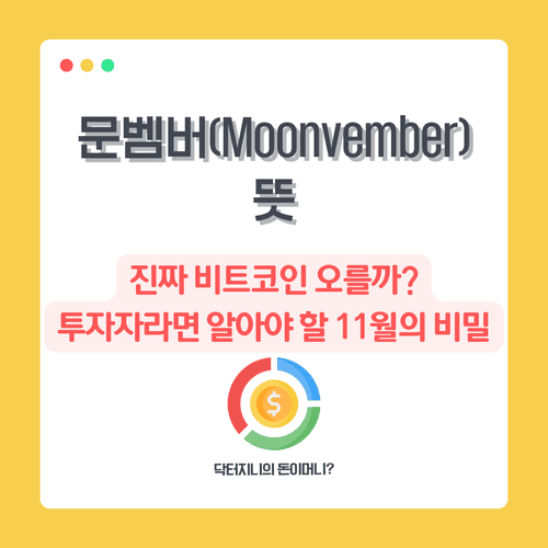 문벰버(Moonvember) 뜻: 진짜 비트코인 오를까? 투자자라면 알아야 할 11월의 비밀