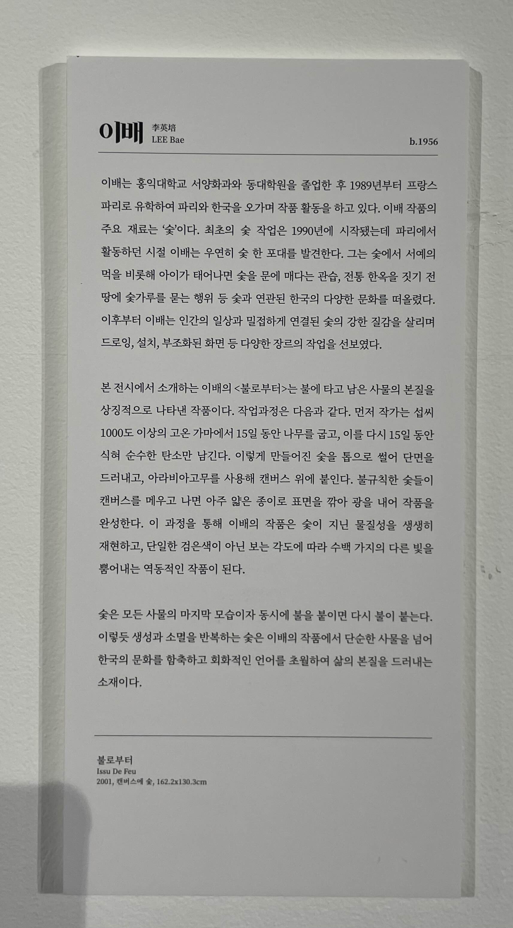 이배-불로부터 (2001, 캔버스에 숯)