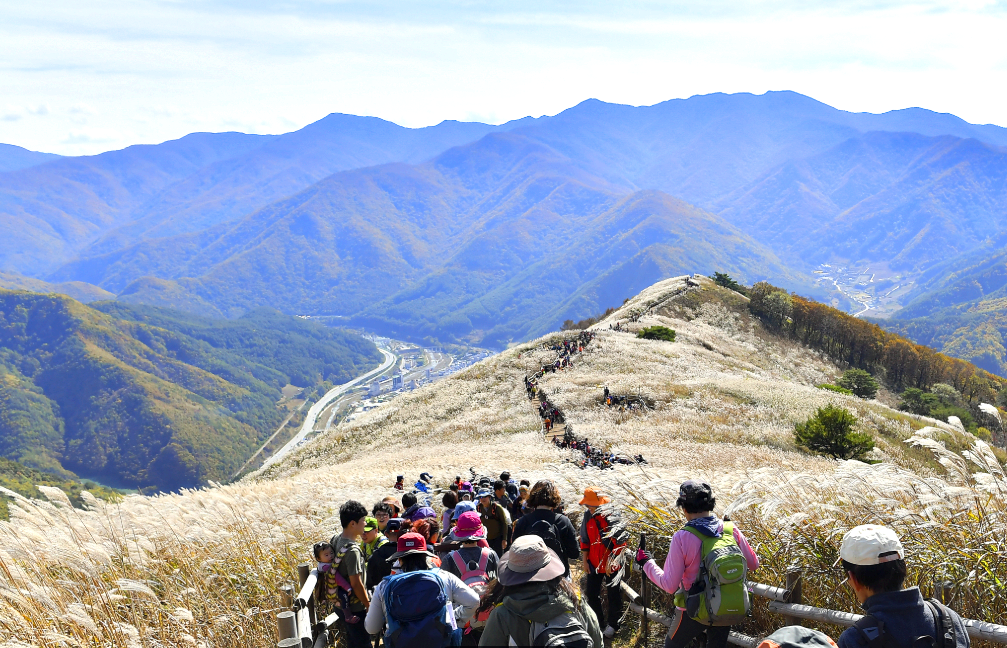 사람들로 북적이는 민둥산 억새
