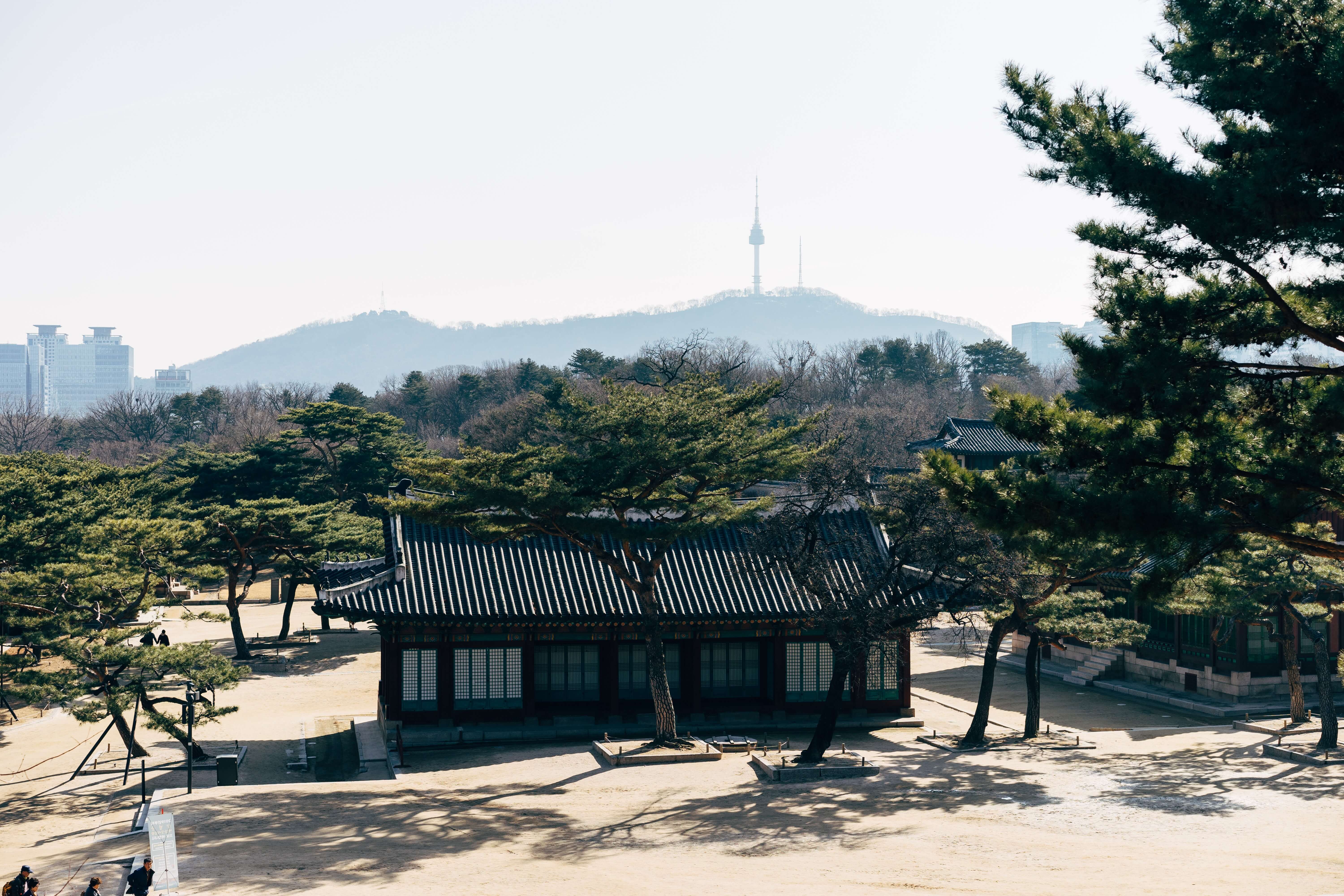 창덕궁 달빛기행