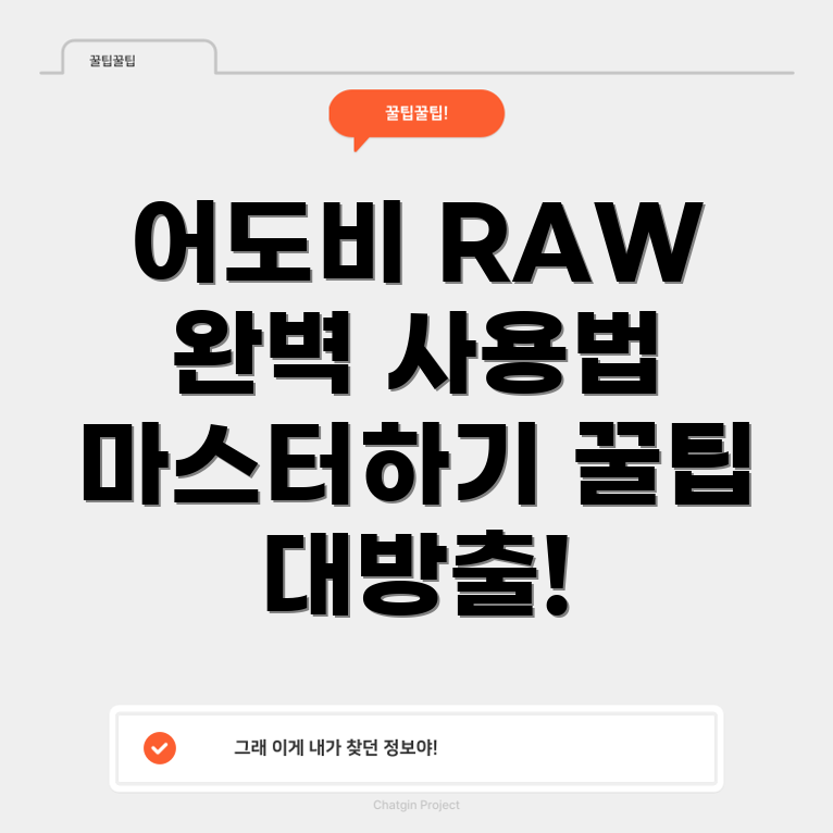 어도비 카메라 RAW