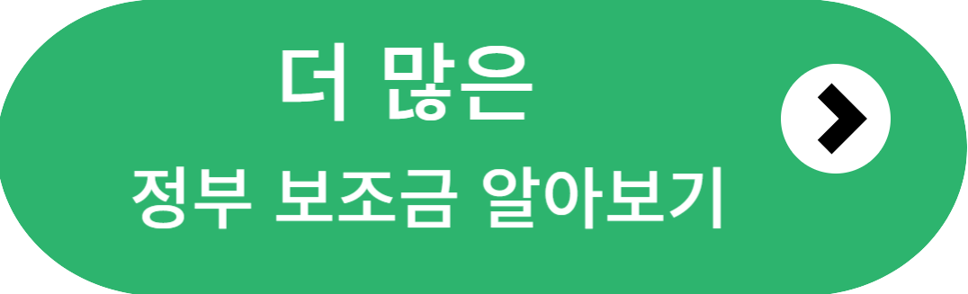 정부보조금