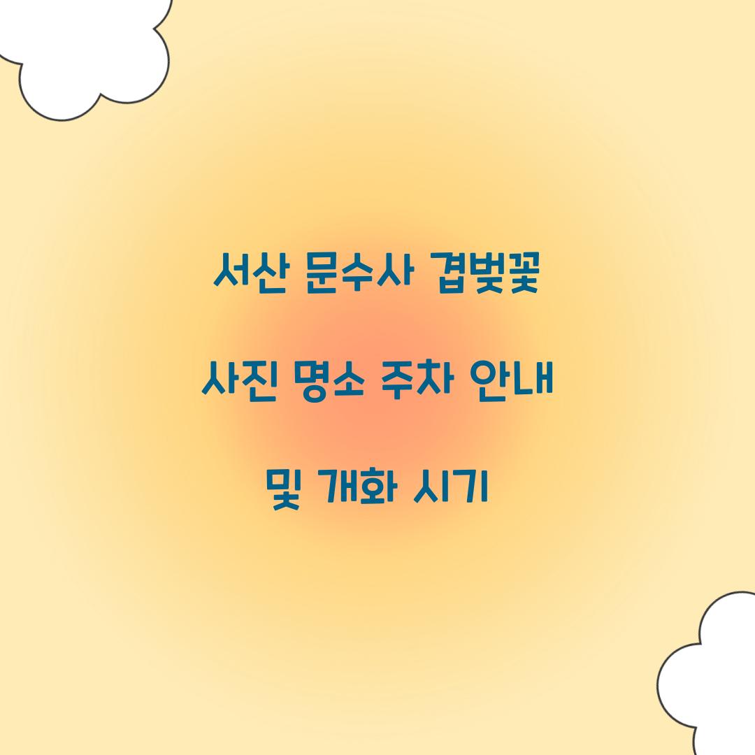 문수사 겹벚꽃 사진 명소
