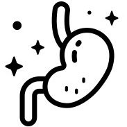 소화 기능 개선 사진