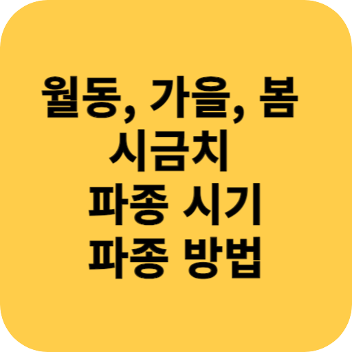 월동 가을 봄 시금치 파종(심는) 시기 파종 방법