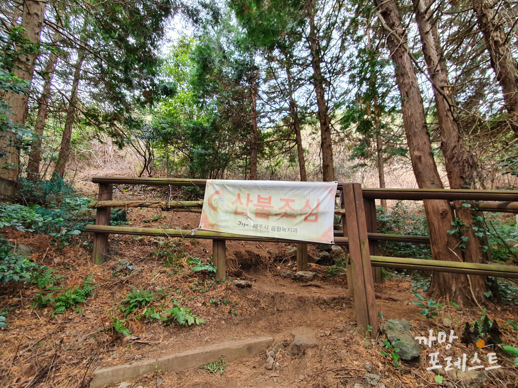 높은 오름 입구