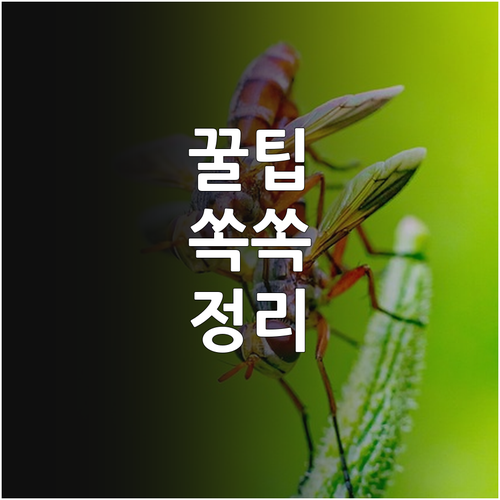난임 고민 끝 2025 대구 한방 지..