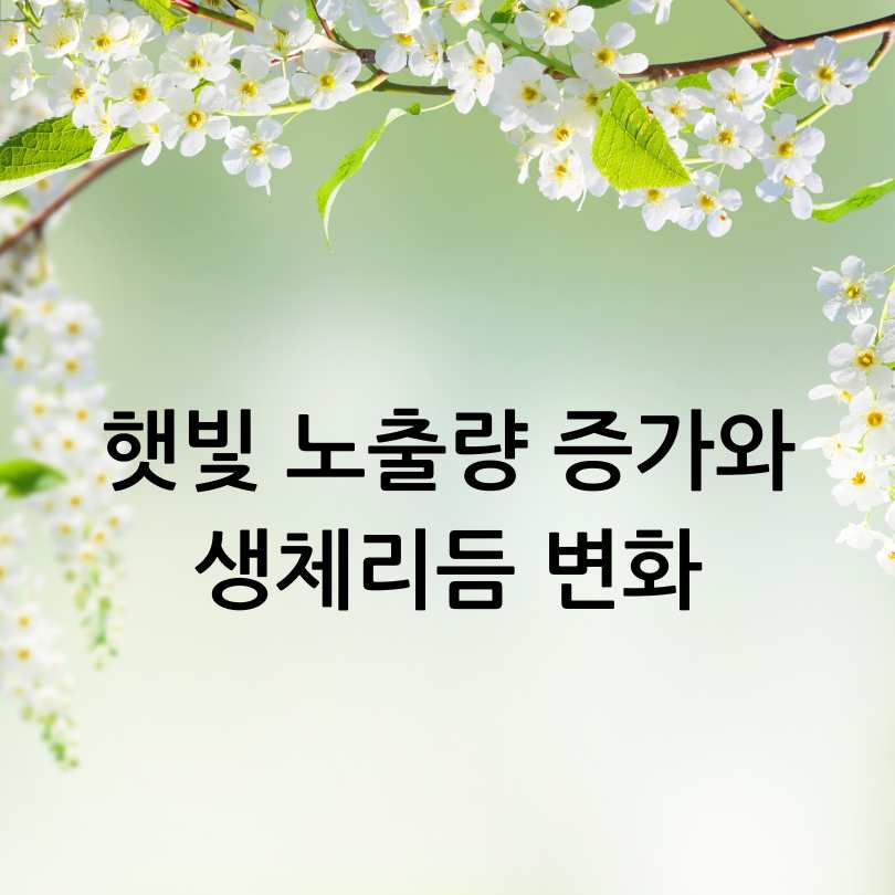 춘곤증 원인&amp;#44; 증상&amp;#44; 해결방법