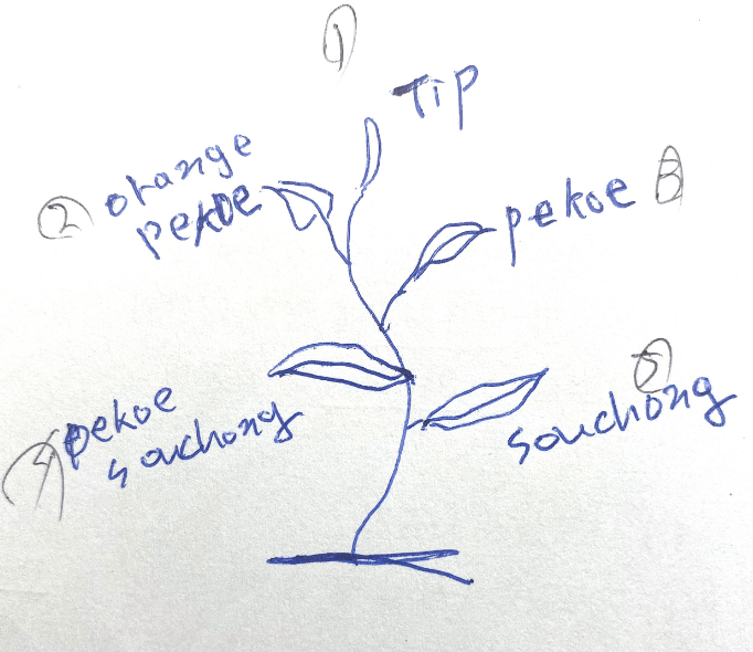 찻앞의 위치에 따라 부르는 이름