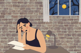 스트레스 DSR이란?