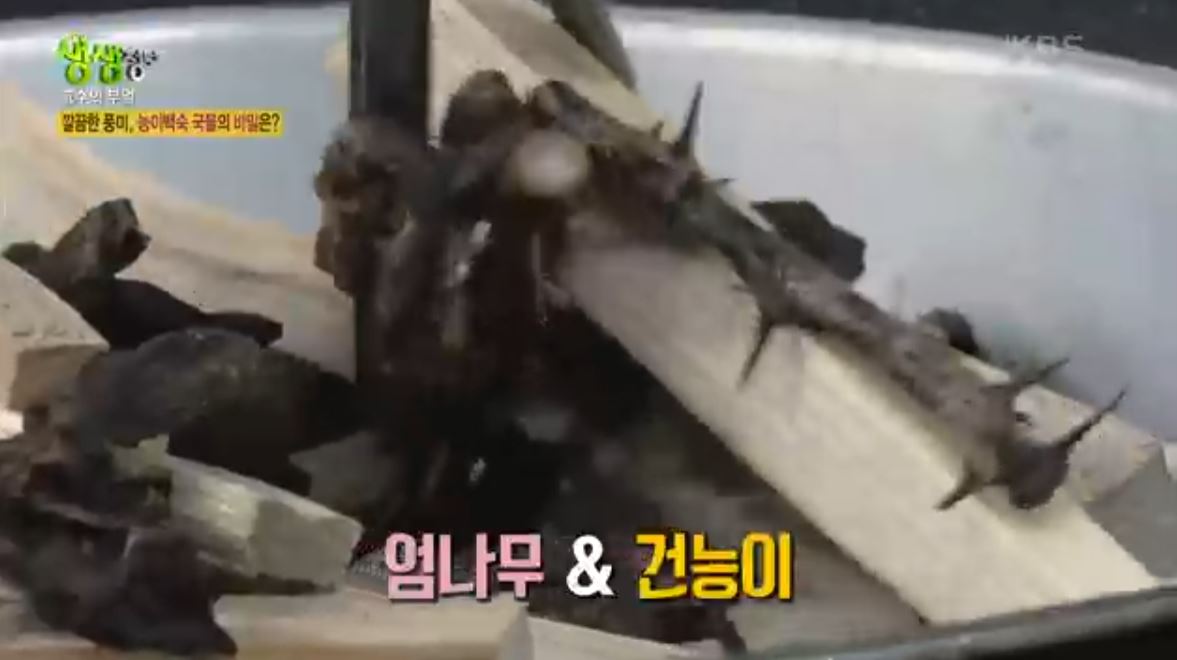 능이백숙 국물육수 내는법