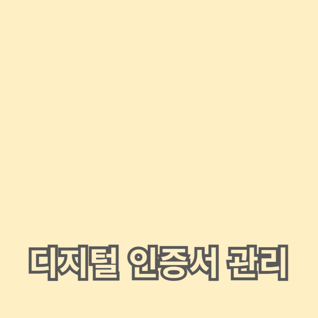 디지털 인증서 관리 강화 방법: 보안 프로토콜과 키 관리