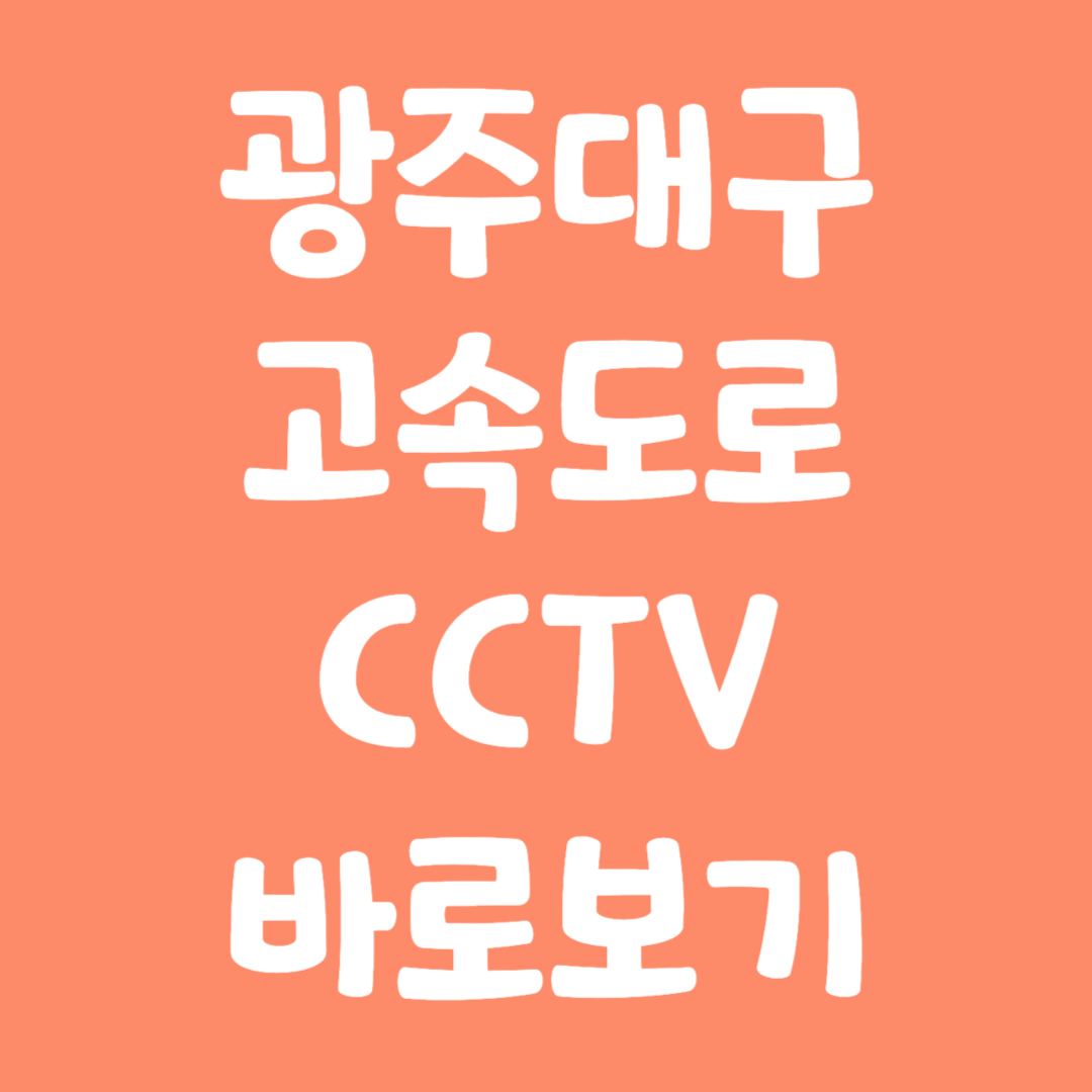 실시간 광주대구고속도로 CCTV 교통상황 바로보기