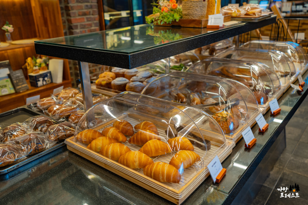 KT&G 춘천 상상마당 빵