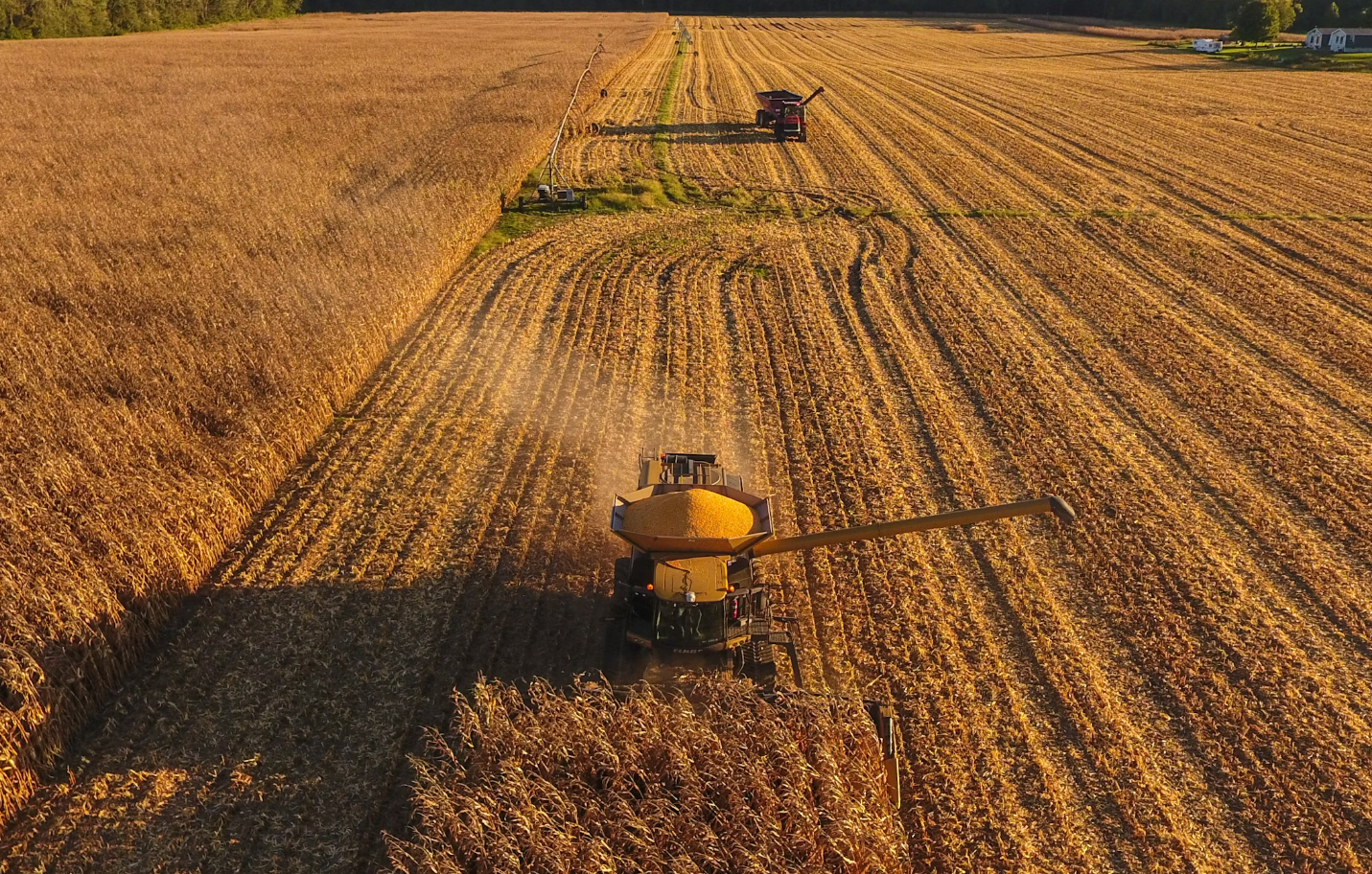 넓은-농장에서-수확하고-있는-트랙터
