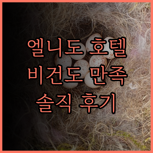 H Hotel El Nido, 비건도