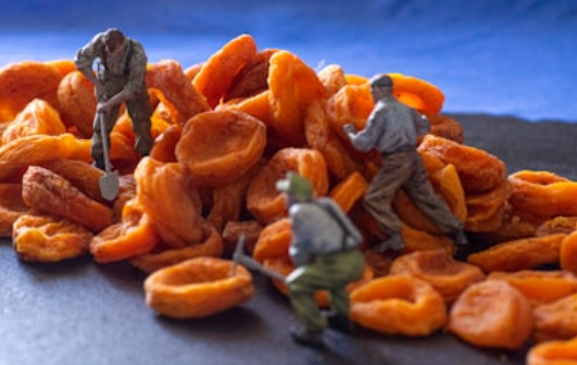 곶감으로 챙기는 겨울철 면역력! 곶감 속 숨겨진 영양 이야기