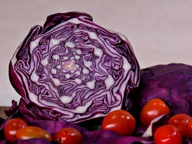 양배추 과다 섭취 주의