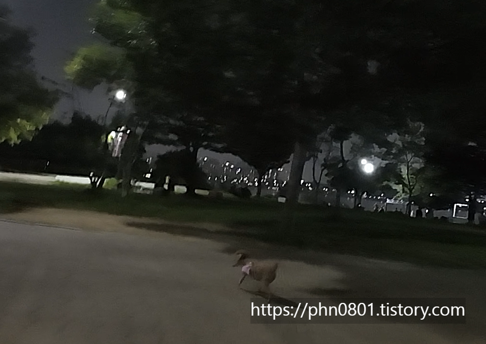 Alt 속성 문제 해결 설명 이미지