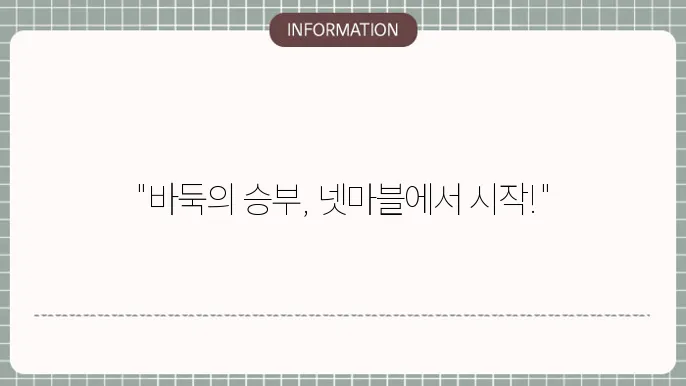 넷마블 바둑의 전반적인 가치