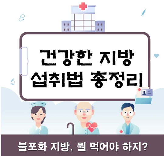 포화지방 vs 불포화지방 차이 한 번에 이해하기: 건강한 기름 선택 가이드