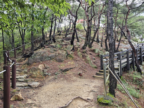 남원 가볼만한 곳- 애기봉에서 맨발걷기, 산책, 등산하세요