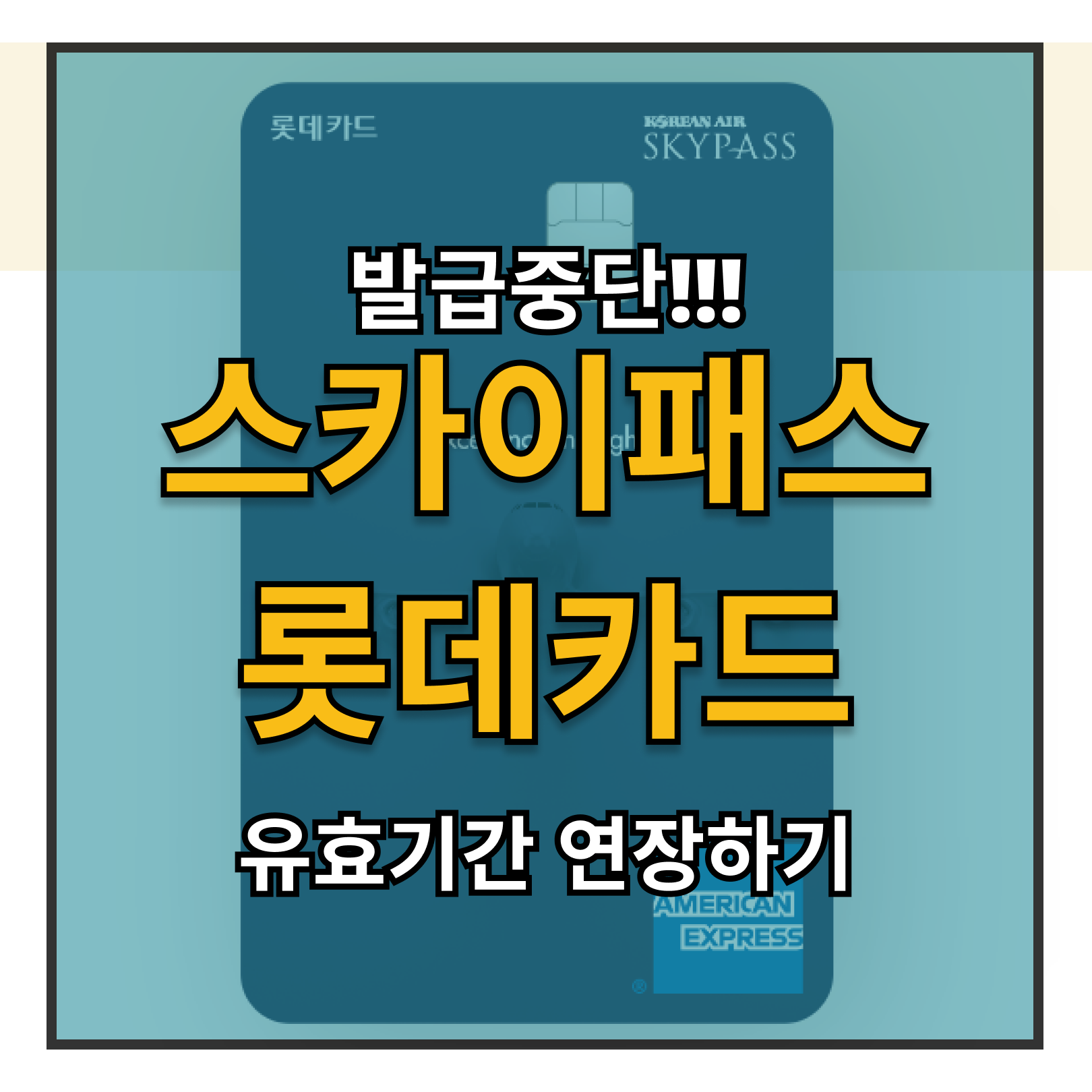 SKYPASS 스카이패 롯데카드 발급 중단 전 혜택 챙기기