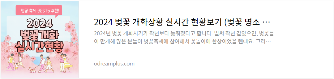 벚꽃축제 실시간 상황