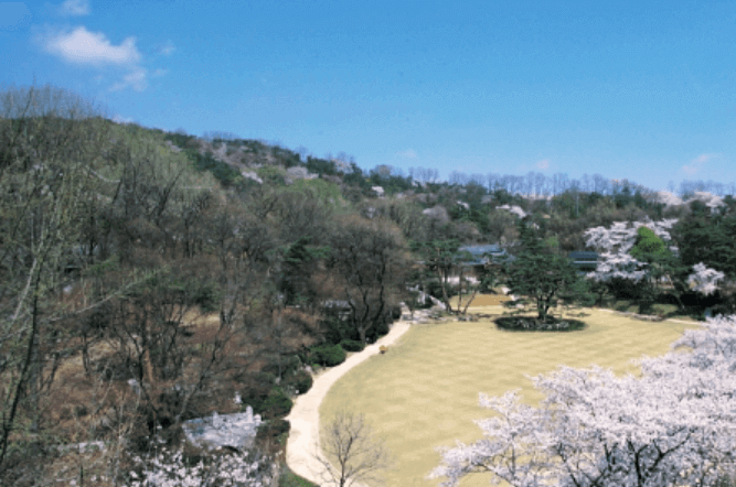 청와대 관람신청 하고 관람하는 청와대 내부 사진