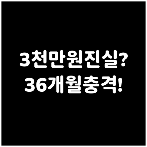 3천만원 차량 36개월 조건으로 본 ..