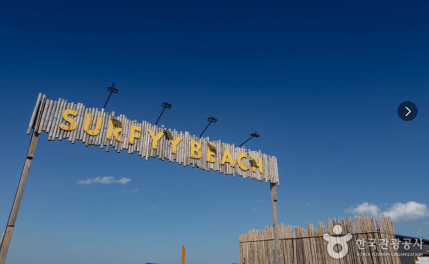 강원도 겨울 반려동물 애견 동반 여행지 추천