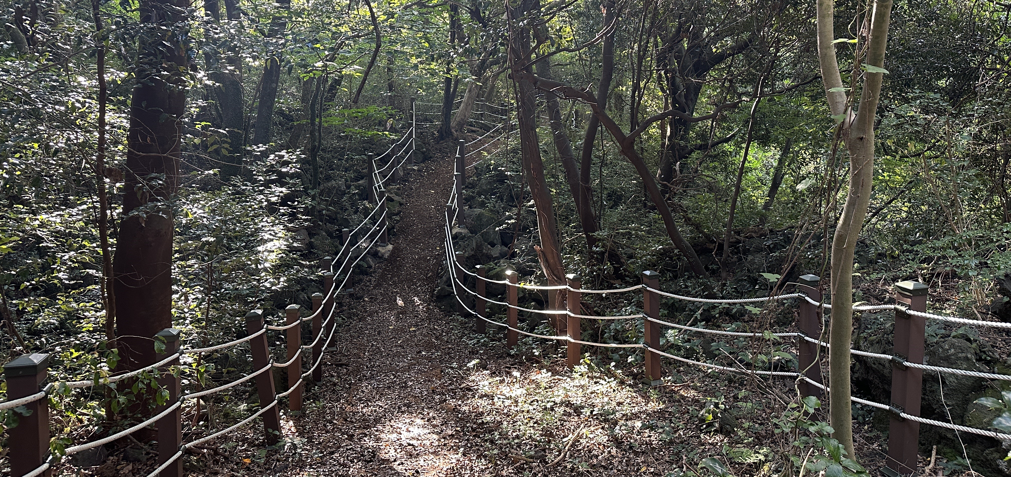 송당곶자왈 산책로