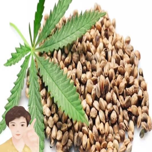 대마종자유-무엇인가