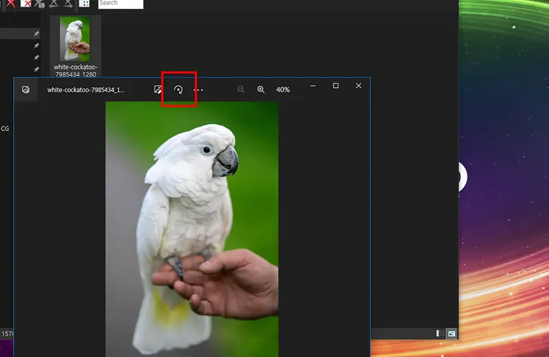 사진-회전-적용